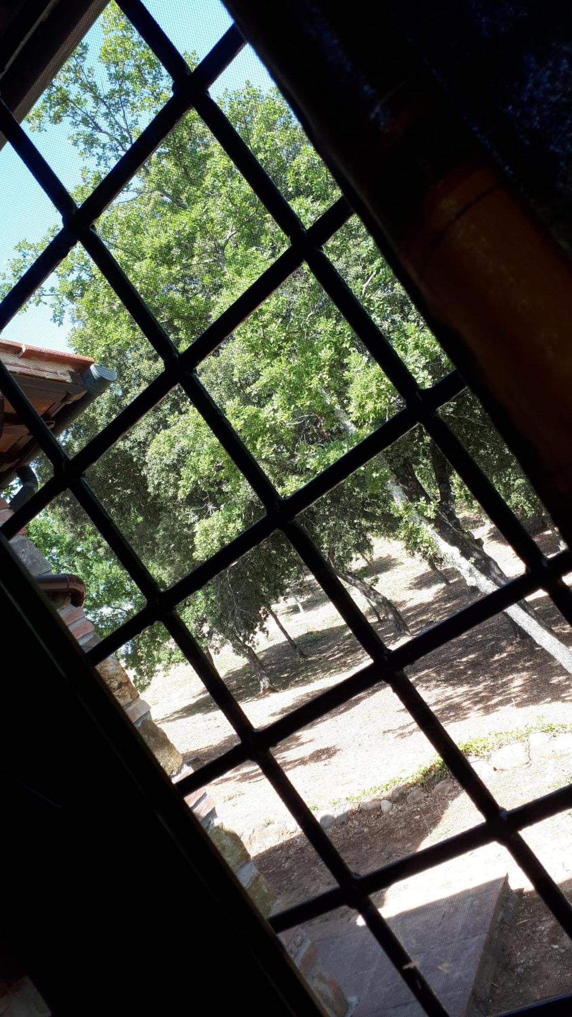 Agriturismo Podere San Lorenzo 1866 Massa Marittima Esterno foto