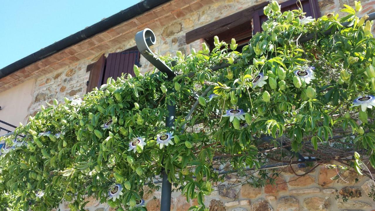 Agriturismo Podere San Lorenzo 1866 Massa Marittima Esterno foto