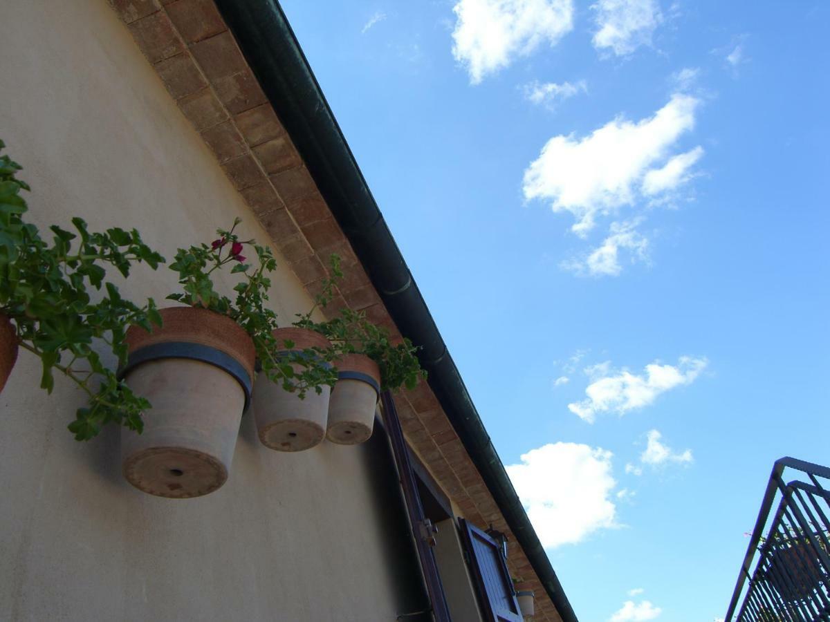 Agriturismo Podere San Lorenzo 1866 Massa Marittima Esterno foto