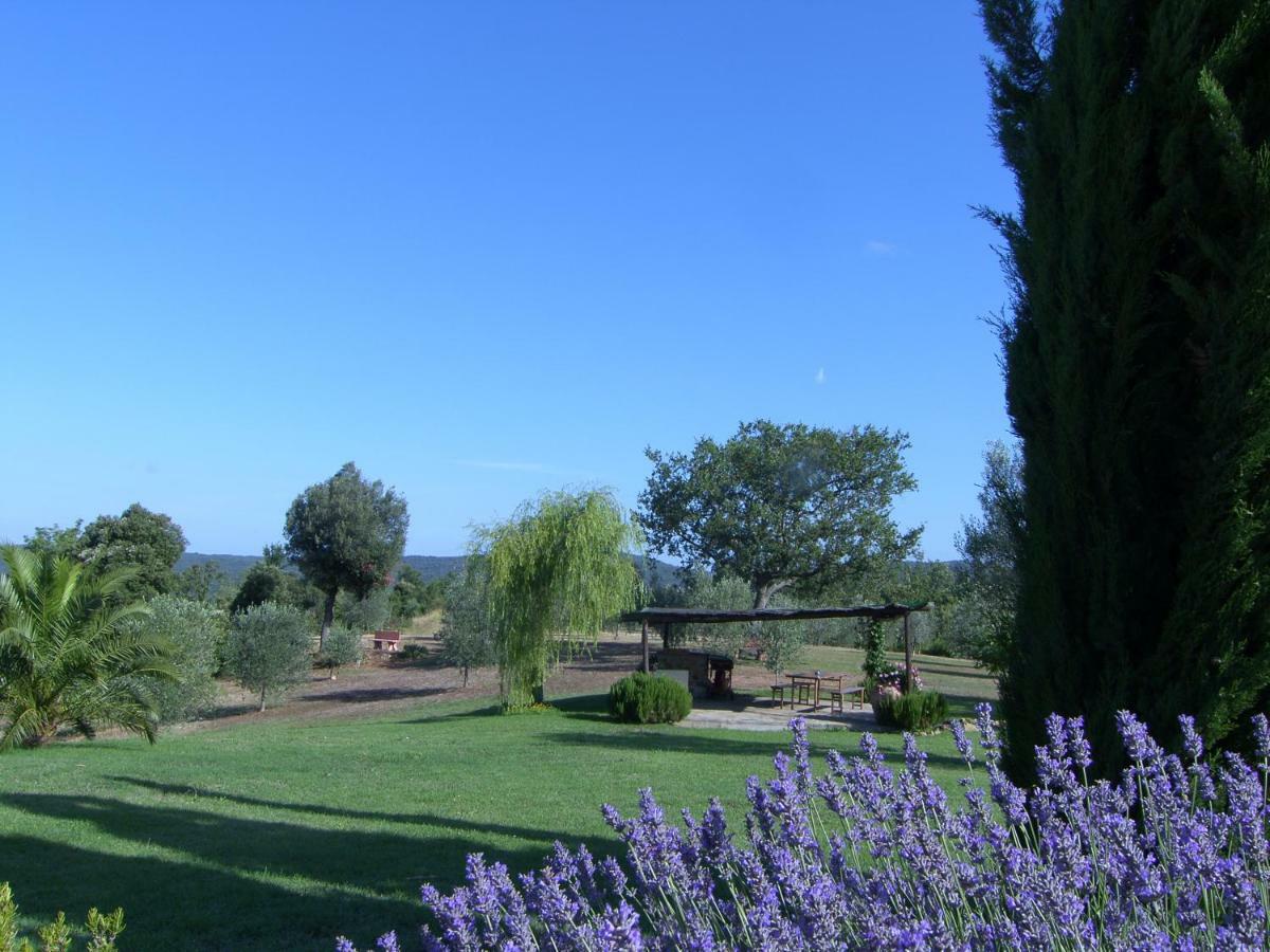 Agriturismo Podere San Lorenzo 1866 Massa Marittima Esterno foto